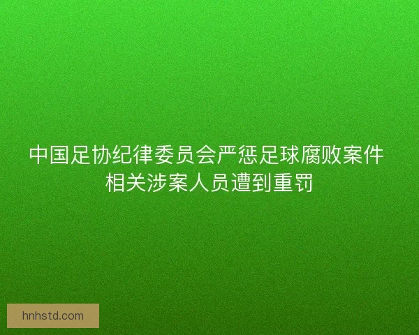 中国足协纪律委员会严惩足球腐败案件 相关涉案人员遭到重罚